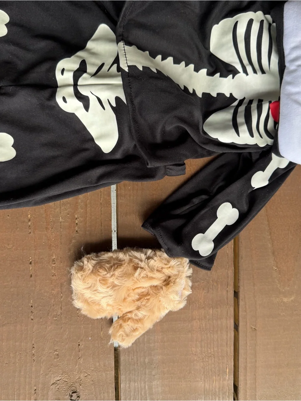 Build A Bear Black Skeleton Bear Costume with Plush Hood 12-18 months